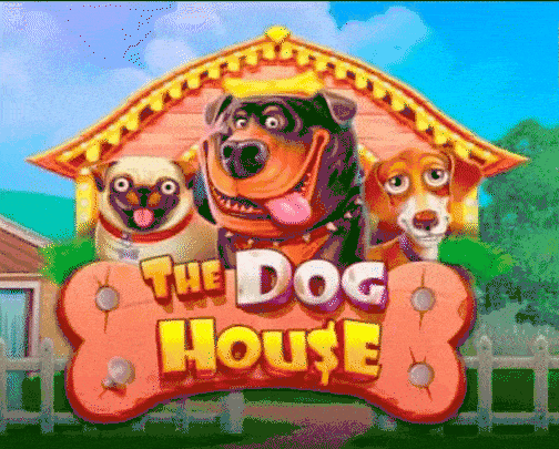 play The Dog House in winfest casino